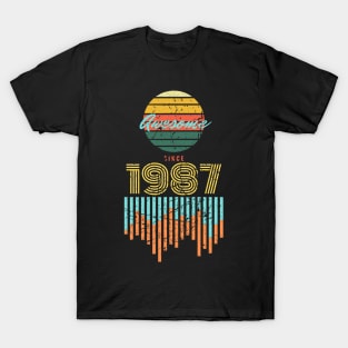 Awesome Since 1987 Vintage 33rd Birthday T-Shirt